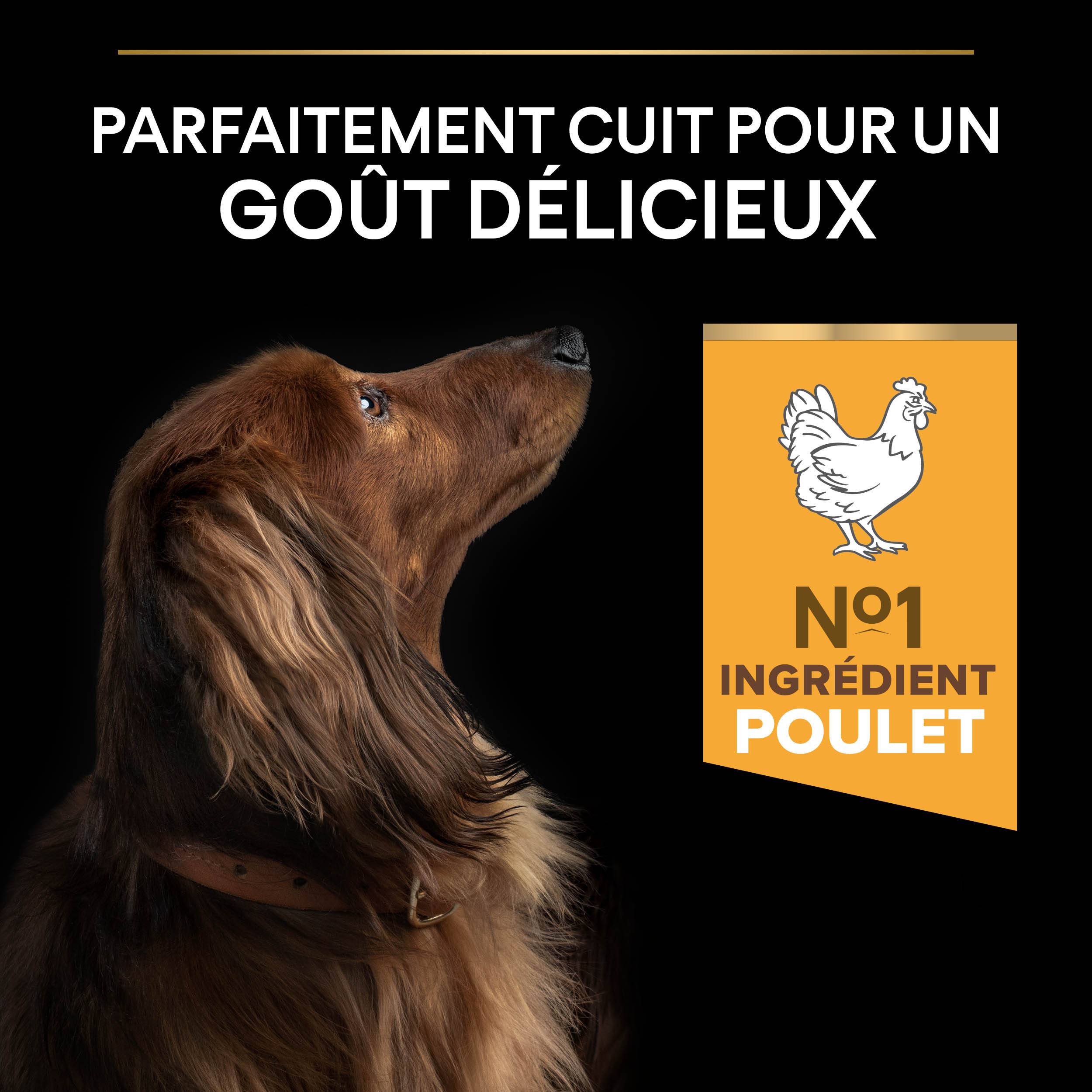 Purina Pro Plan - Croquettes chien Small et Mini Light Sterilised 3 kg - PRO PLAN - Image 12