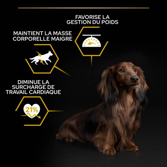 Purina Pro Plan - Croquettes chien Small et Mini Light Sterilised 3 kg - PRO PLAN - Image 10