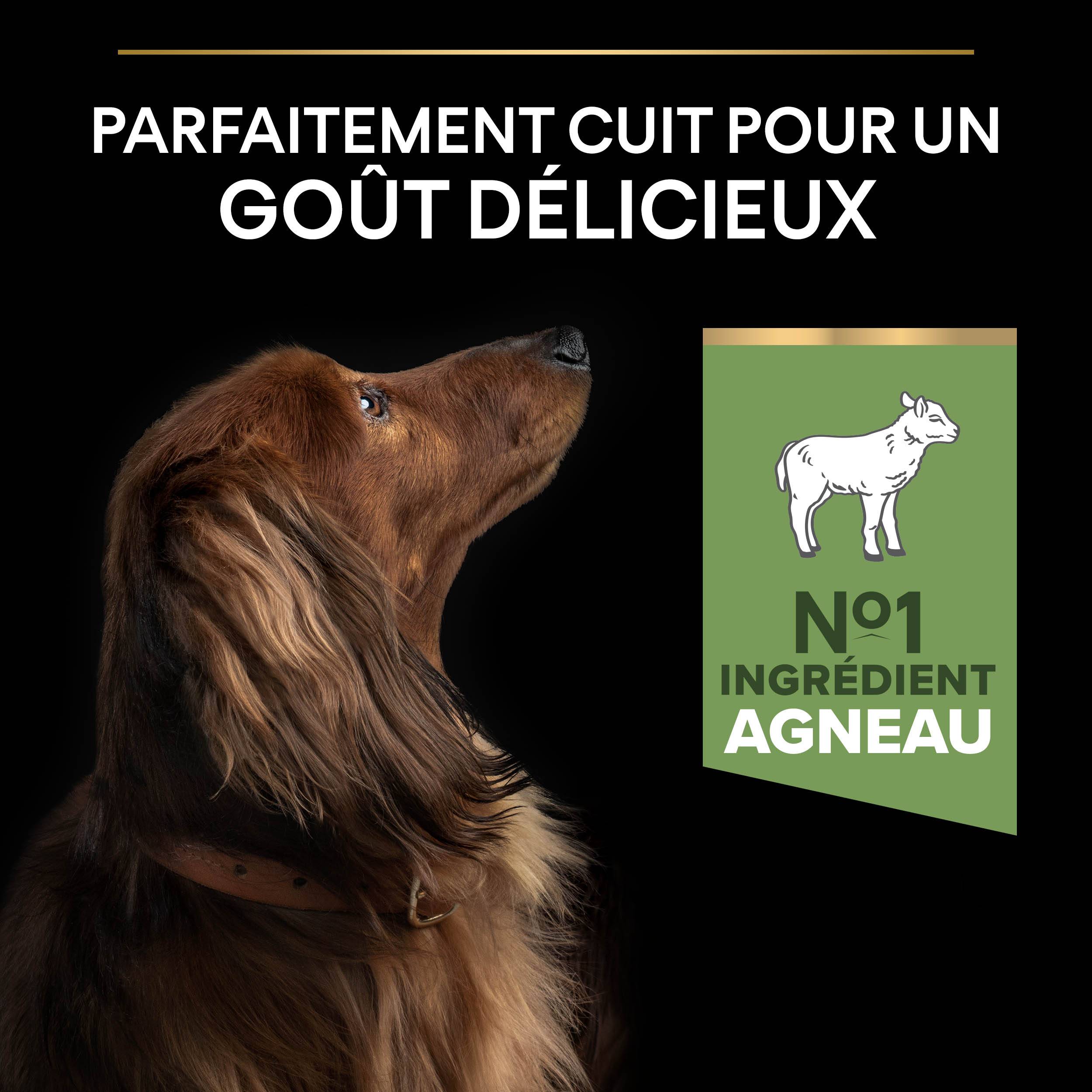 Purina Pro Plan - Croquettes chien Adulte Petit Digestion sensible 3 kg  - PRO PLAN - Image 2