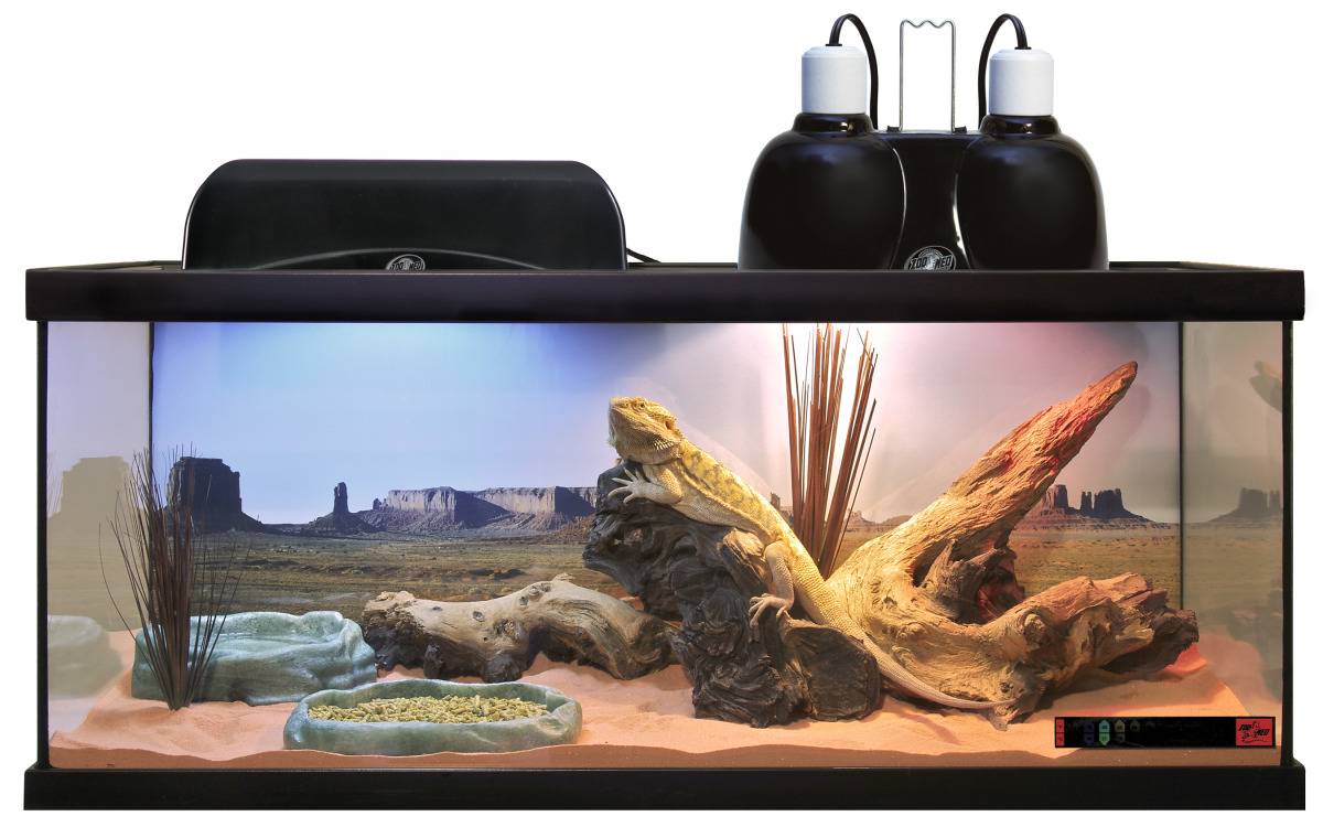Zoomed - Zoomed - Kit habitat complet pour Pogona - Image 2