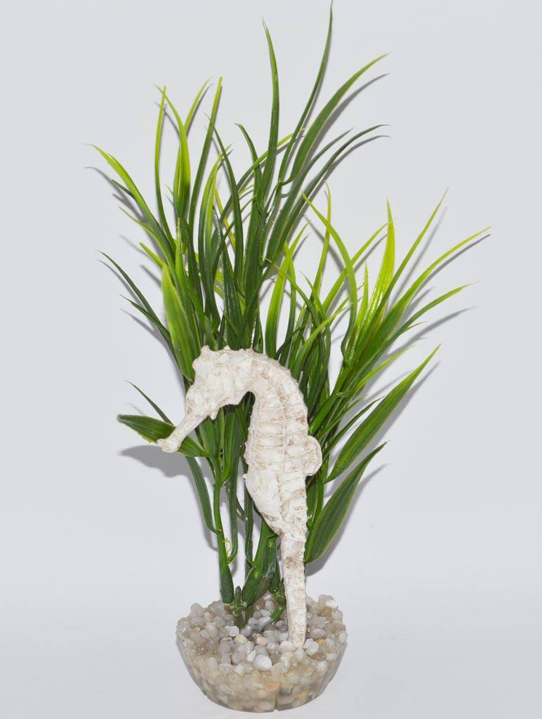 Labéo - Labéo - Décor hippocampe vert - Ø.9 x H.17 cm