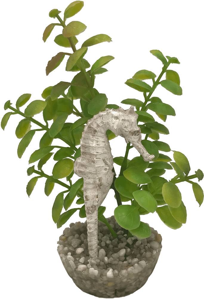Labéo - Labéo - Décor hippocampe vert - Ø.9 x H.17 cm - Image 2