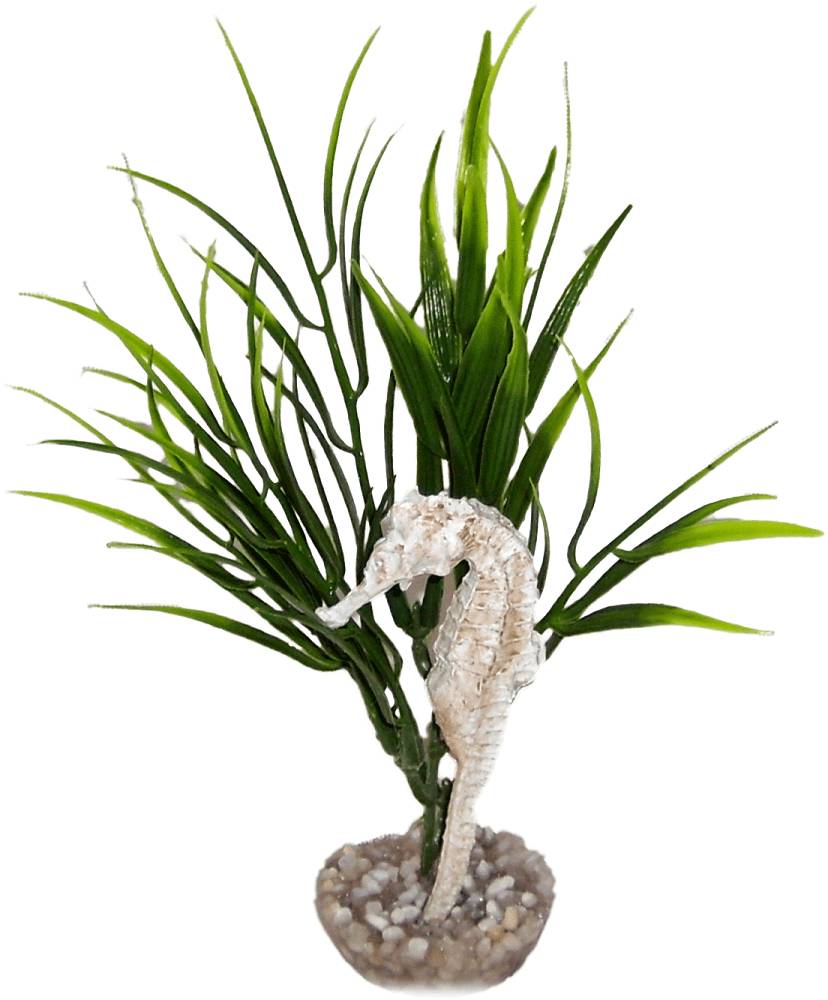 Labéo - Labéo - Décor hippocampe vert - Ø.9 x H.17 cm - Image 3