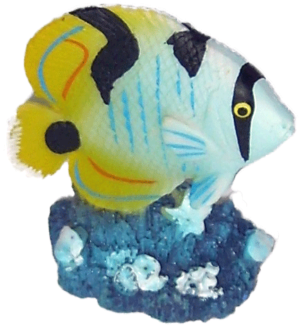 Labéo - Labéo - Sujet Poisson coloris assortis L.5,5 x l.2,5 x H.6,5 cm - Image 5