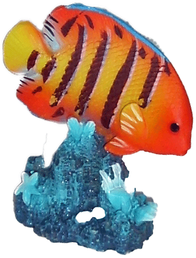 Labéo - Labéo - Sujet Poisson coloris assortis L.5,5 x l.2,5 x H.6,5 cm - Image 9