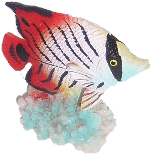 Labéo - Labéo - Sujet Poisson coloris assortis L.5,5 x l.2,5 x H.6,5 cm - Image 3