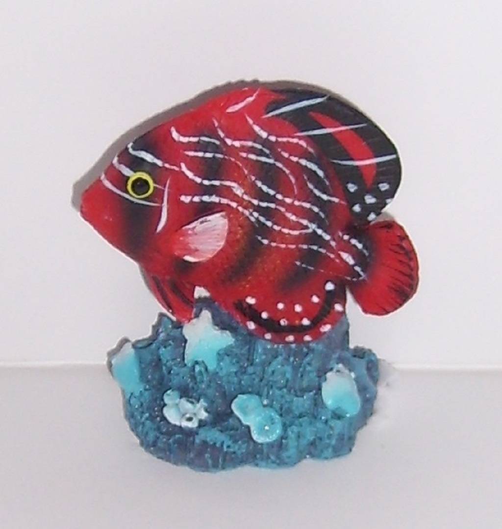 Labéo - Labéo - Sujet Poisson coloris assortis L.5,5 x l.2,5 x H.6,5 cm - Image 6