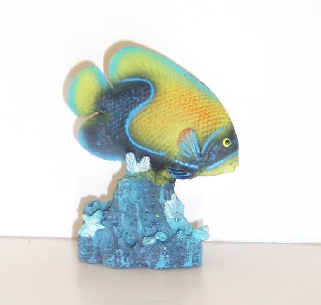 Labéo - Labéo - Sujet Poisson coloris assortis L.5,5 x l.2,5 x H.6,5 cm - Image 2