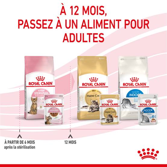 Royal Canin - Aliment Chaton Stérilisé Sauce - ROYAL CANIN - Image 9
