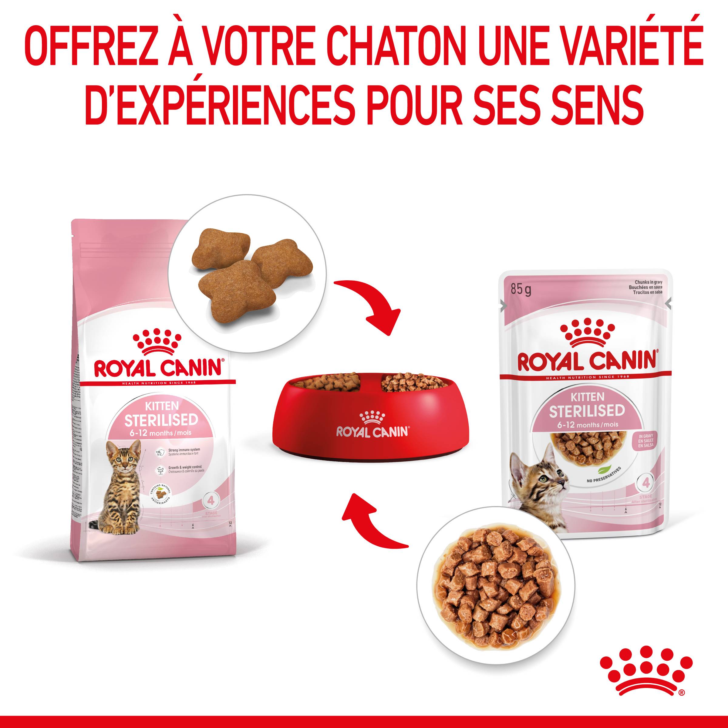 Royal Canin - Aliment Chaton Stérilisé Sauce - ROYAL CANIN - Image 7