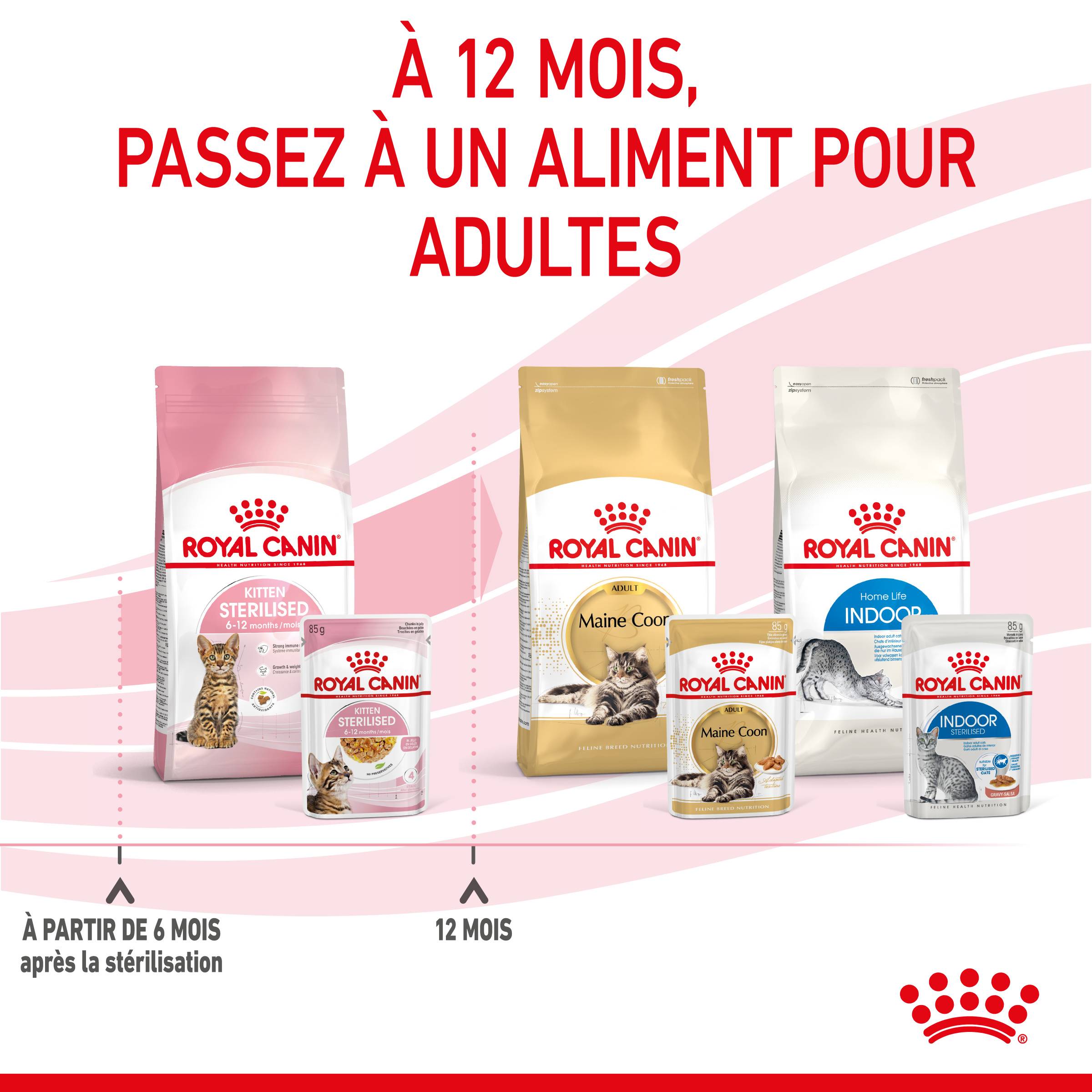 Royal Canin - Gelée Royal Canin Chaton Sterilised 12 x 85 g - Image 8