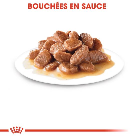 Royal Canin - Aliment complet chat stérilisé – ROYAL CANIN - Image 9