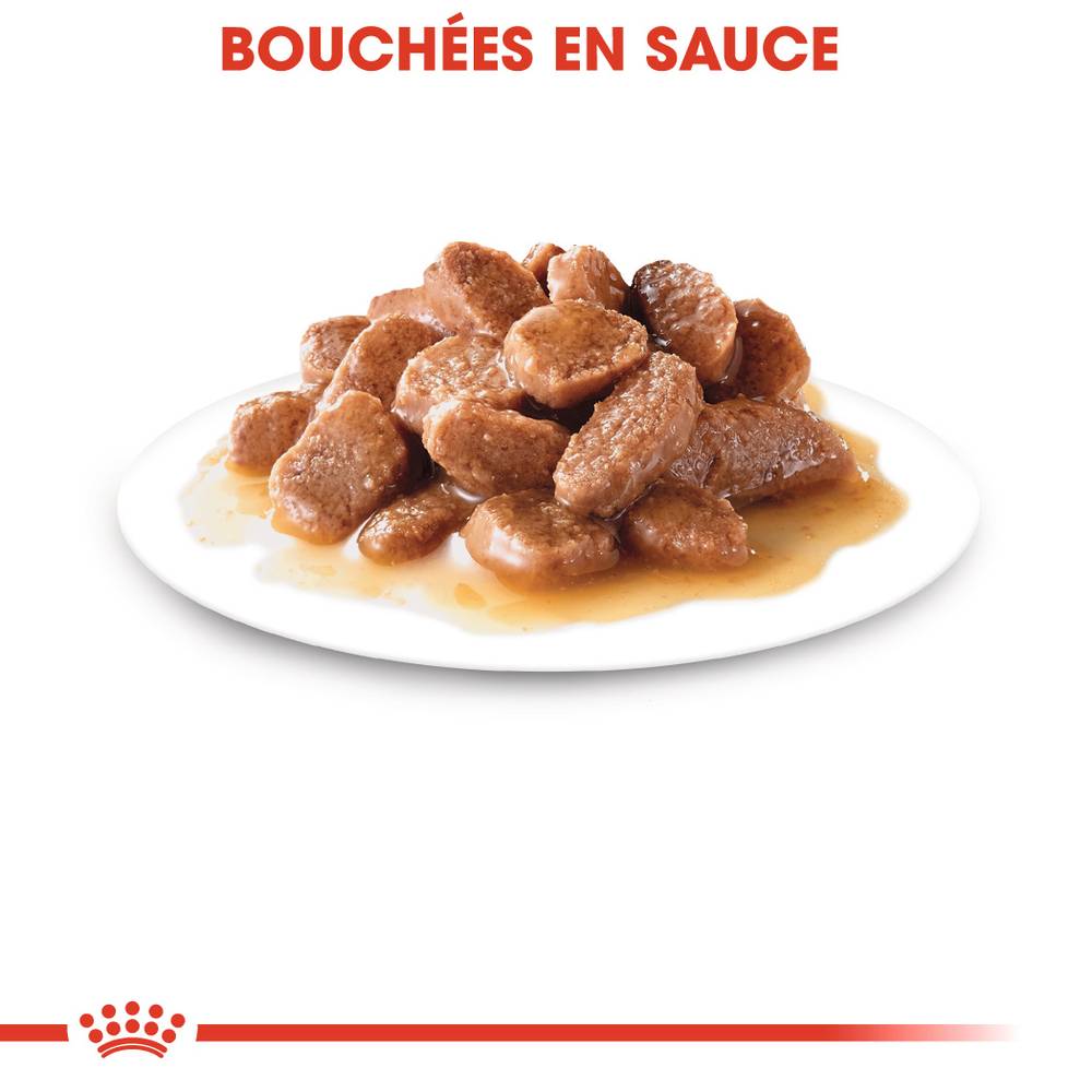 Royal Canin - Aliment Complet Chat Adulte Sauce ROYAL CANIN - Image 3