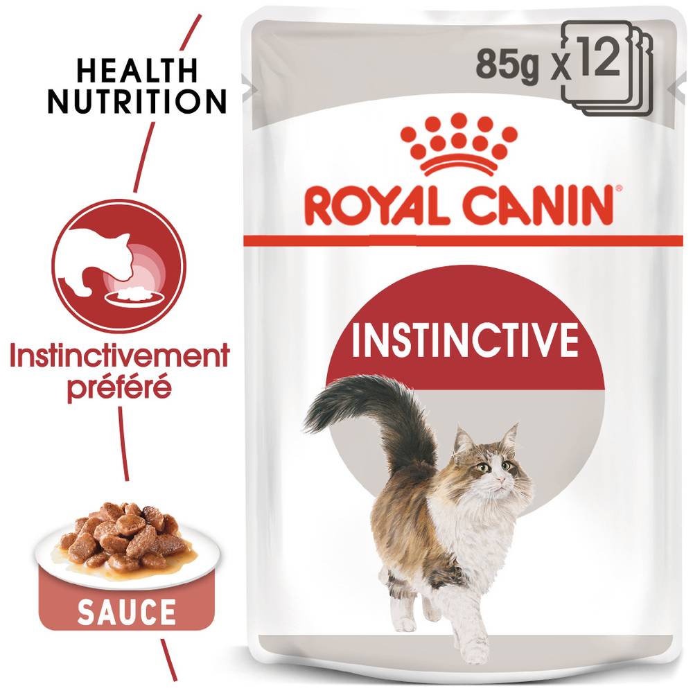Royal Canin - Aliment Complet Chat Adulte Sauce ROYAL CANIN - Image 5