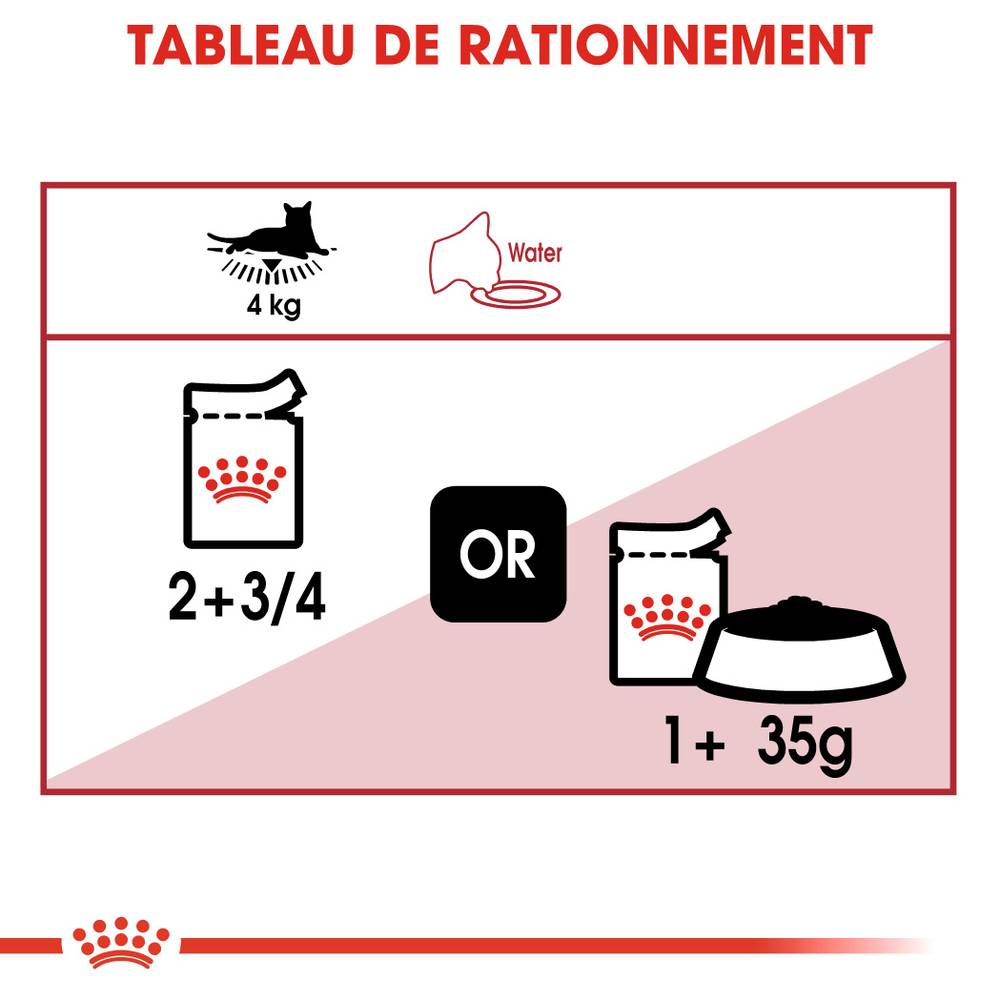 Royal Canin - Aliment Complet Chat Adulte Sauce ROYAL CANIN - Image 4