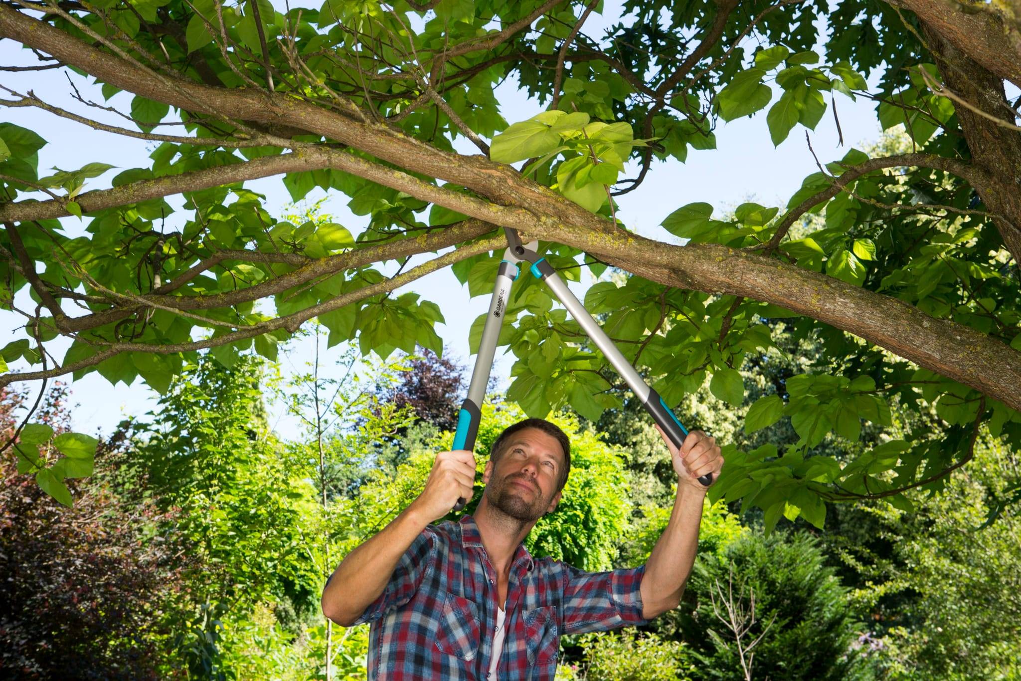 Gardena - Coupe-branches GARDENA EasyCut 680B - Image 2