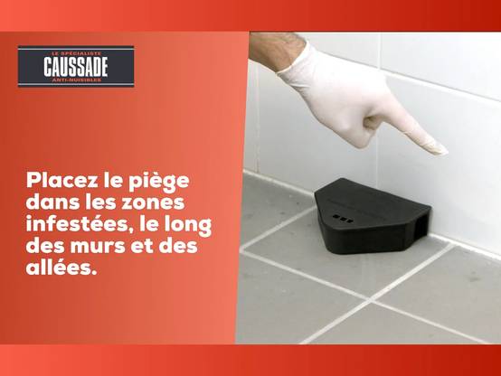 Caussade - Pâte anti-rats et souris prêt à l'emploi 150 g - CAUSSADE - Image 4