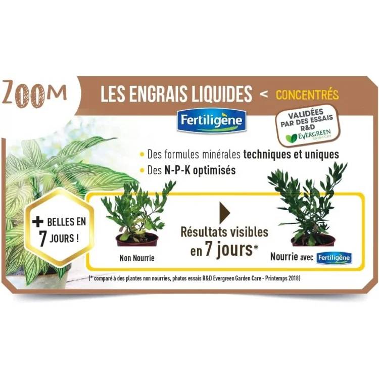 Fertiligène - Engrais Liquide Orchidées 480ml - FERTILIGENE - Image 2