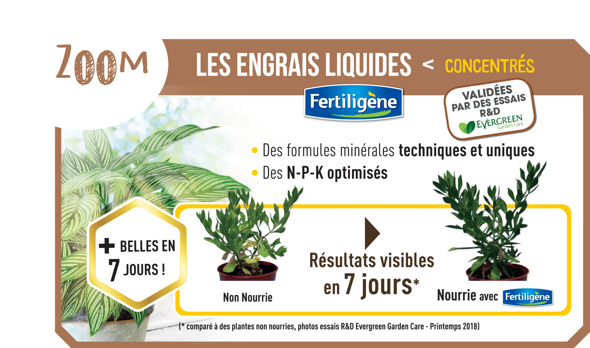 Fertiligène - Engrais cactées 250ml - Image 2