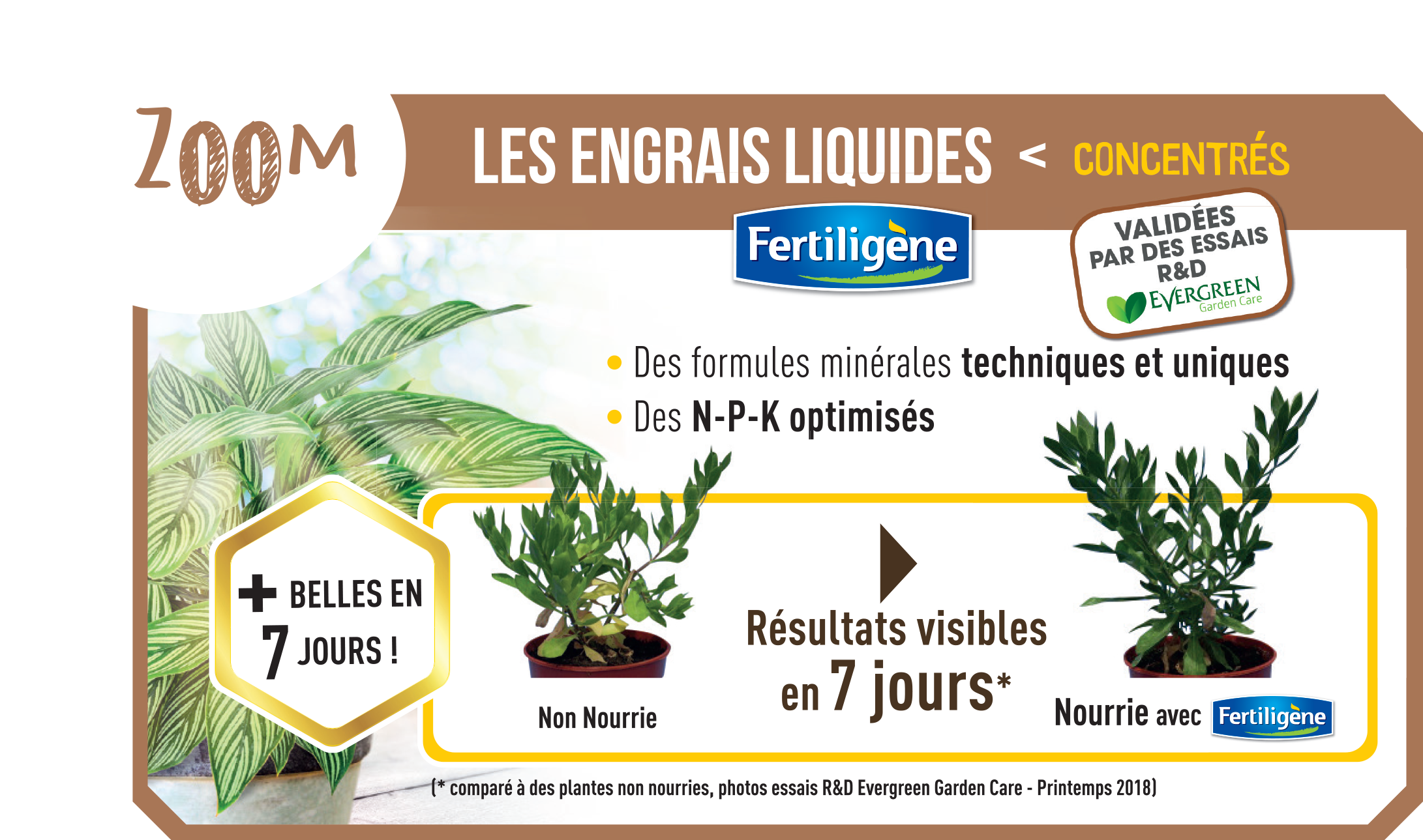 Fertiligène - Engrais Liquide Plantes Fleuries – FERTILIGENE