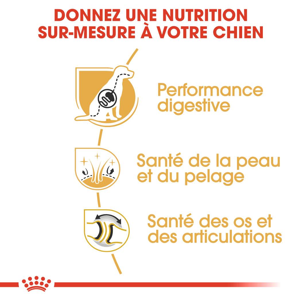 Royal Canin - Croquettes chien Berger allemand - ROYAL CANIN - Image 3
