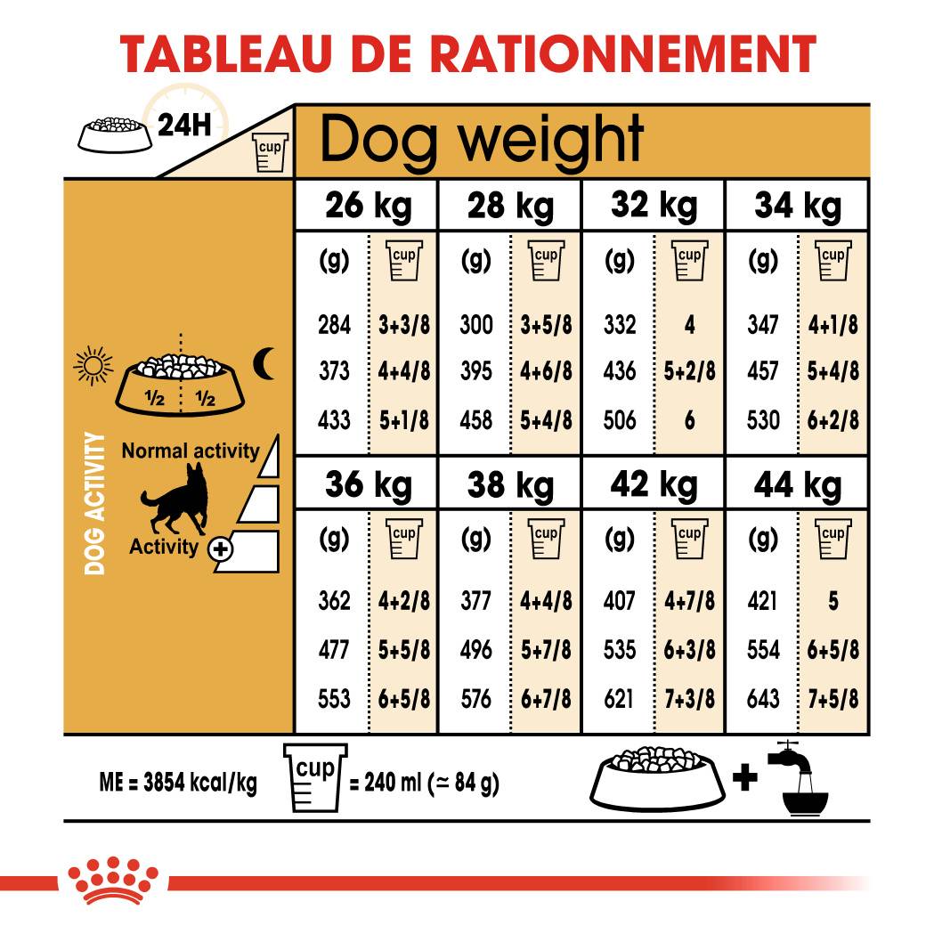 Royal Canin - Croquettes chien Berger allemand - ROYAL CANIN - Image 5