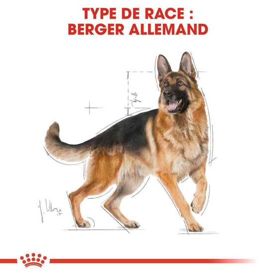 Royal Canin - Croquettes chien Berger allemand - ROYAL CANIN - Image 15