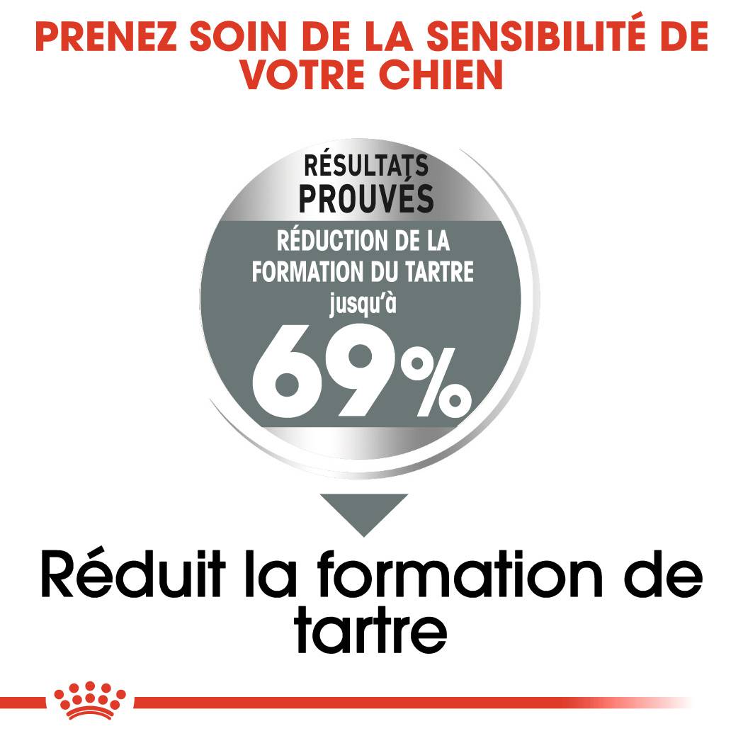 Royal Canin - Croquettes Chien ROYAL CANIN - Image 2