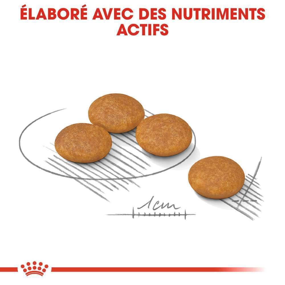 Royal Canin - Applique murale plastique et acier noir L. 41,5 cm IP44 - QAZQA - Image 3