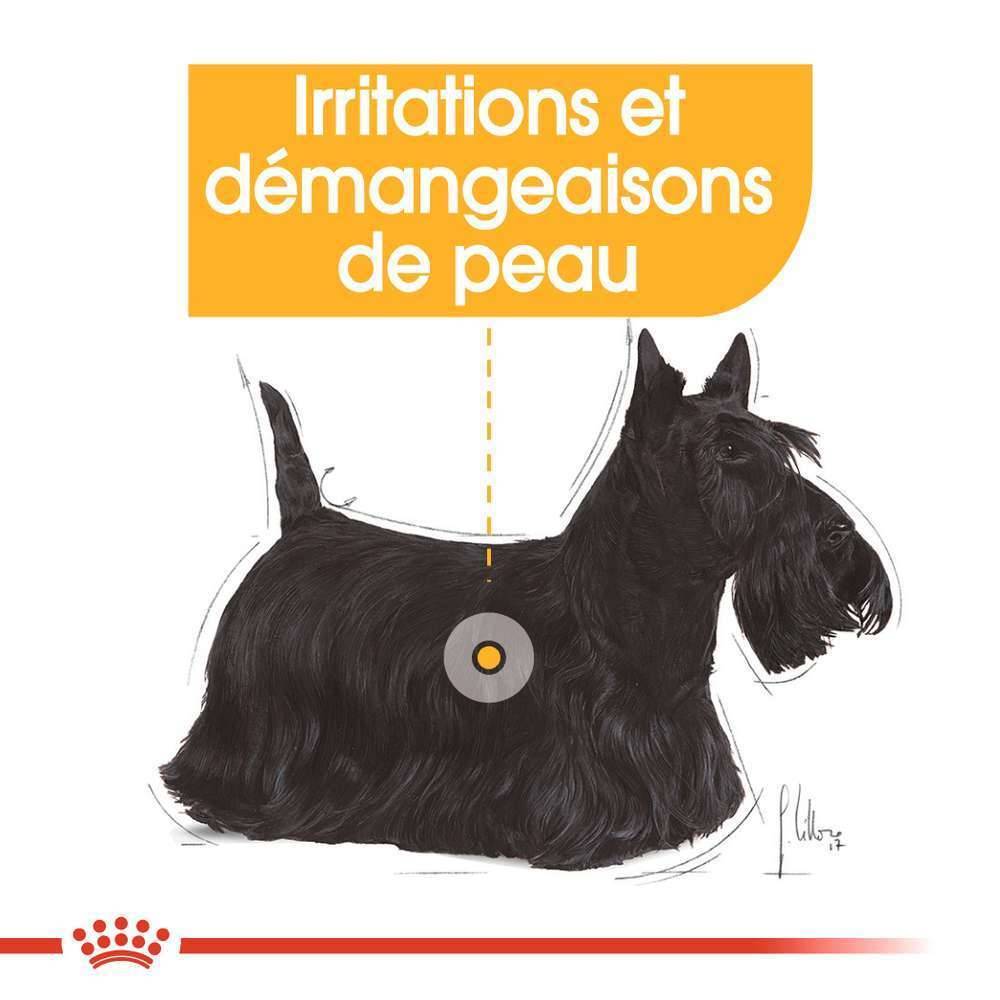 Royal Canin - Applique murale plastique et acier noir L. 41,5 cm IP44 - QAZQA - Image 11