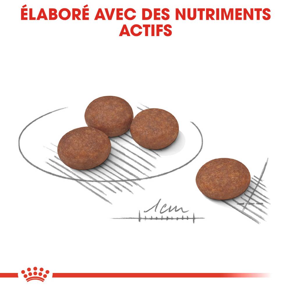 Royal Canin - Croquettes chien sensibilité digestive ROYAL CANIN - Image 4
