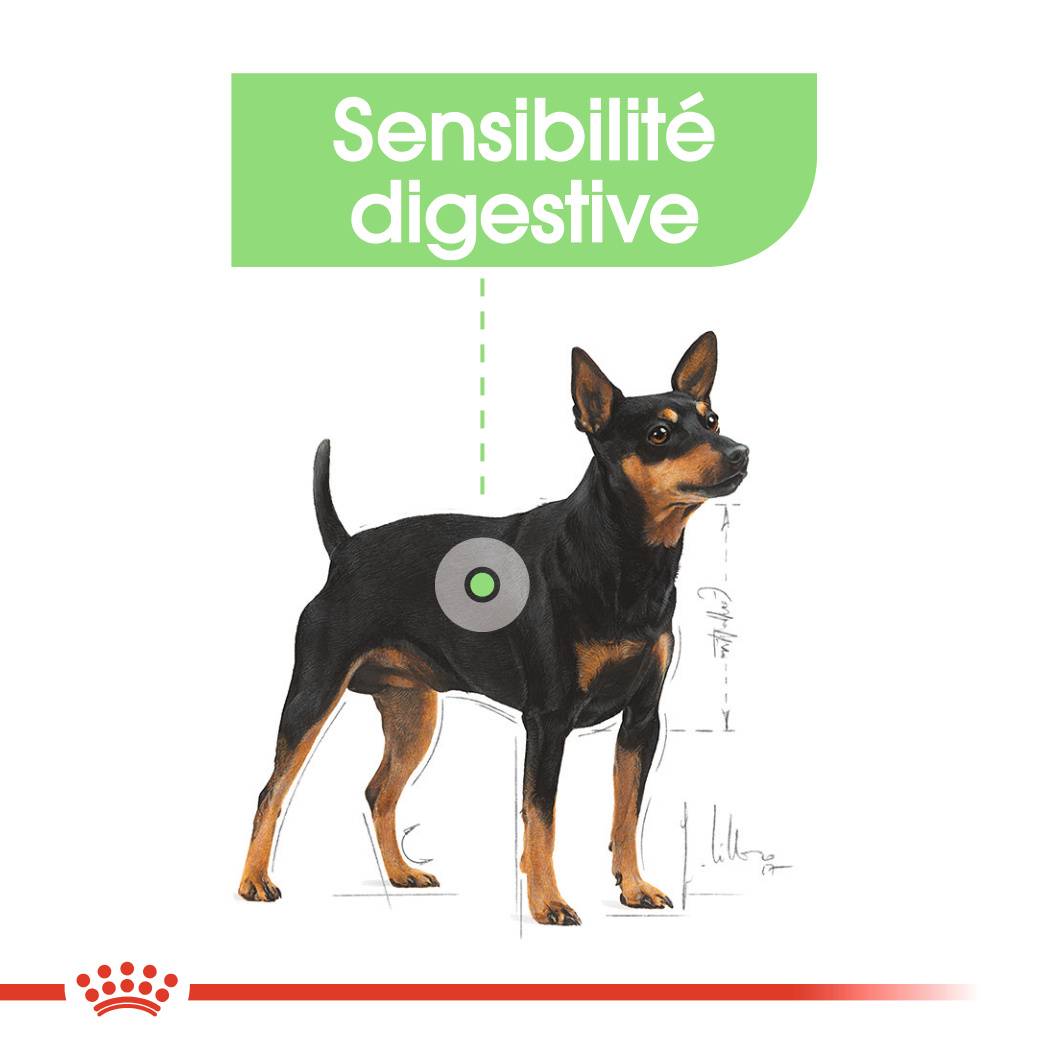 Royal Canin - Croquettes chien sensibilité digestive ROYAL CANIN - Image 6