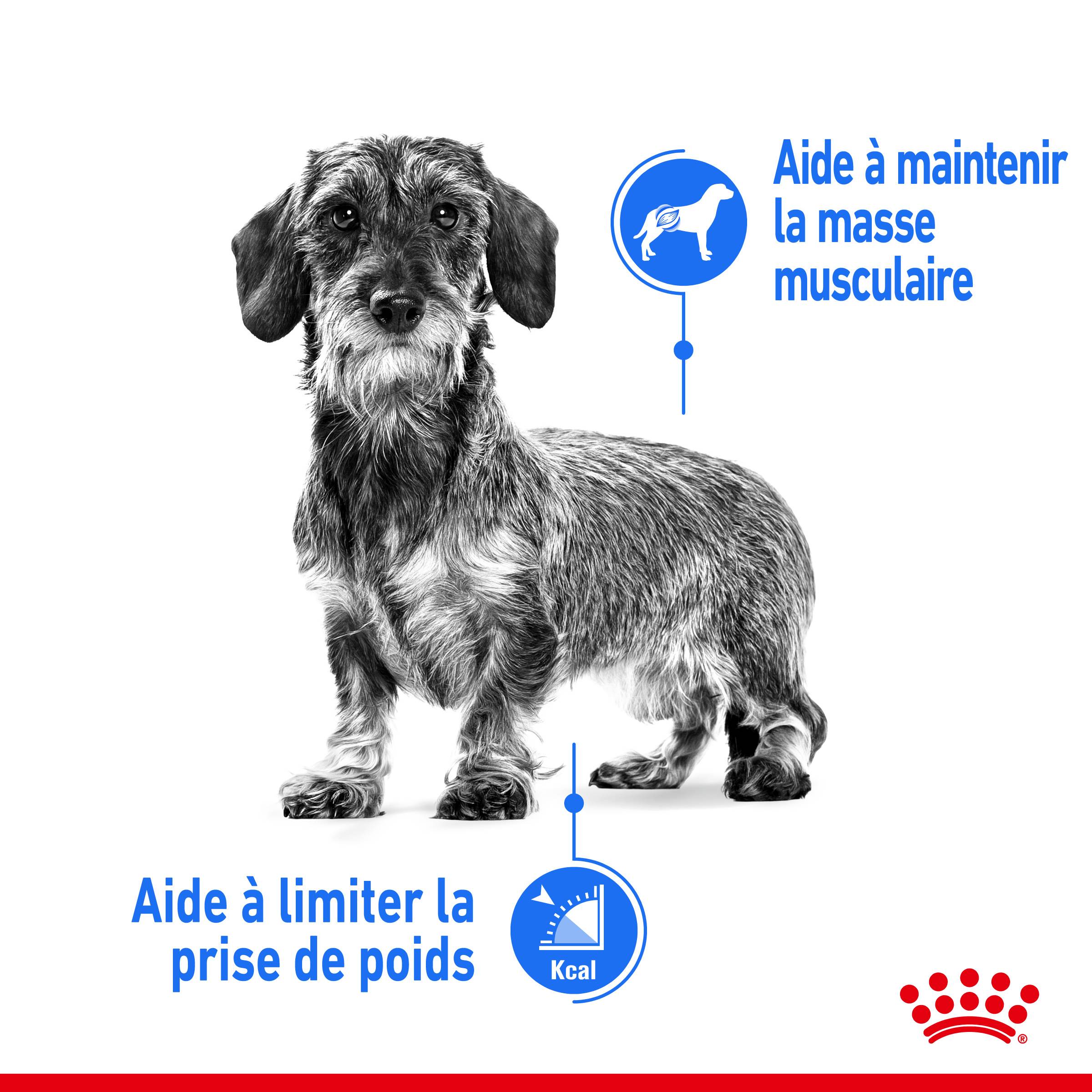 Royal Canin - Croquettes Chien Mini Light Weight Care - ROYAL CANIN - Image 8