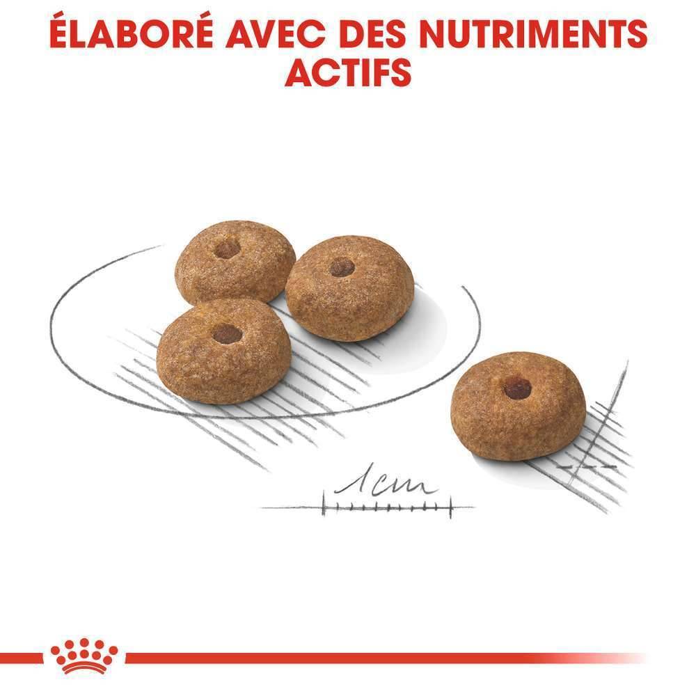 Royal Canin - Croquettes chien MINI STERILISED - ROYAL CANIN - Image 3