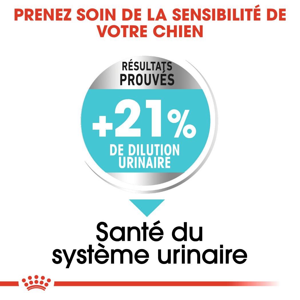 Royal Canin - Croquettes chien mini - ROYAL CANIN - Image 4