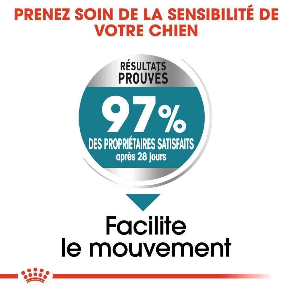 Royal Canin - Croquettes pour chien Joint Care - ROYAL CANIN - Image 11