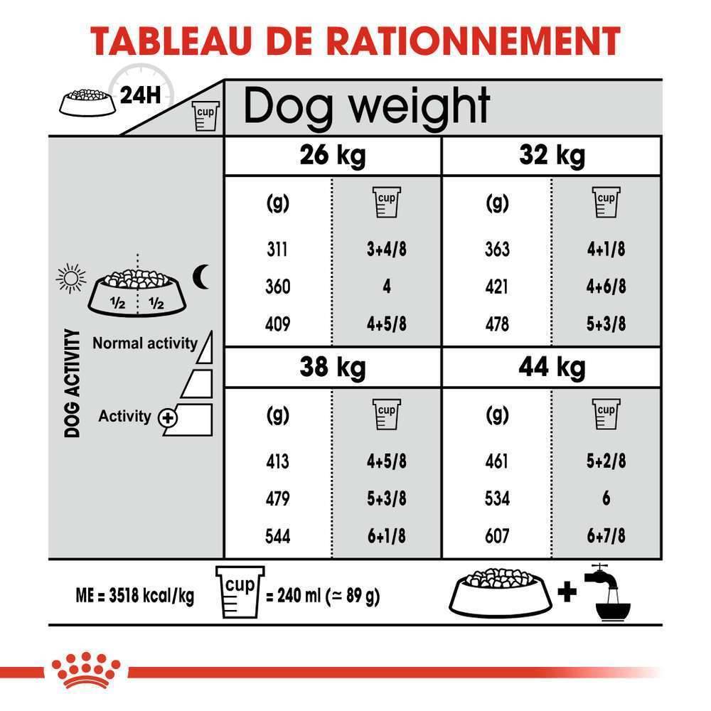 Royal Canin - Croquettes pour chien Joint Care - ROYAL CANIN - Image 9