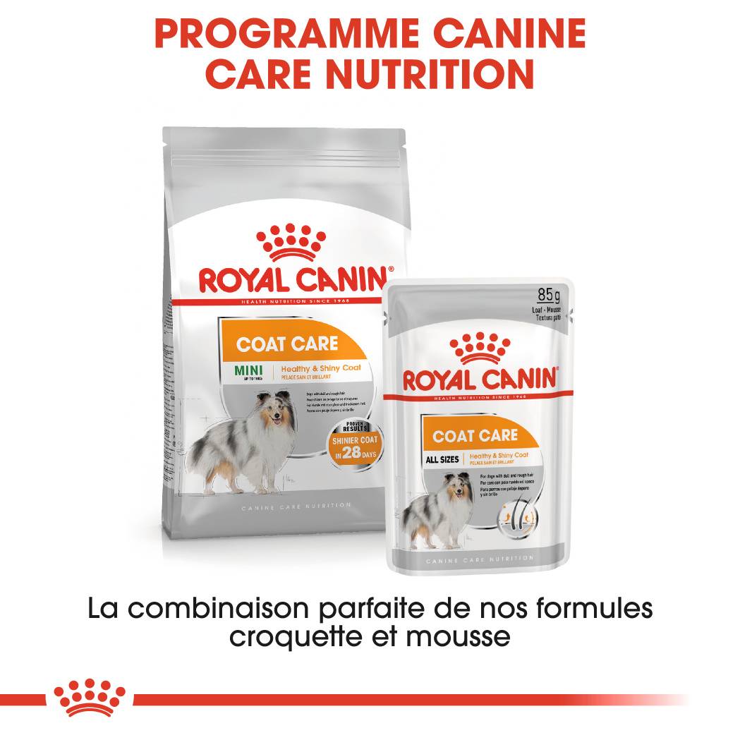 Royal Canin - Sachets Fraîcheur Coat Care Mousse Chien 12x85g - ROYAL CANIN - Image 5