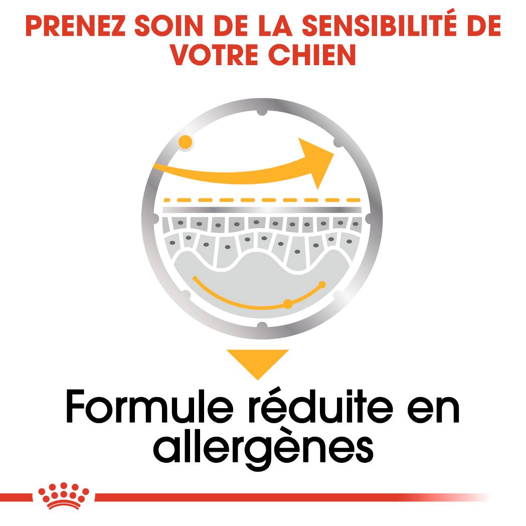 Royal Canin - Aliment Chien Adulte Humide - ROYAL CANIN - Image 3