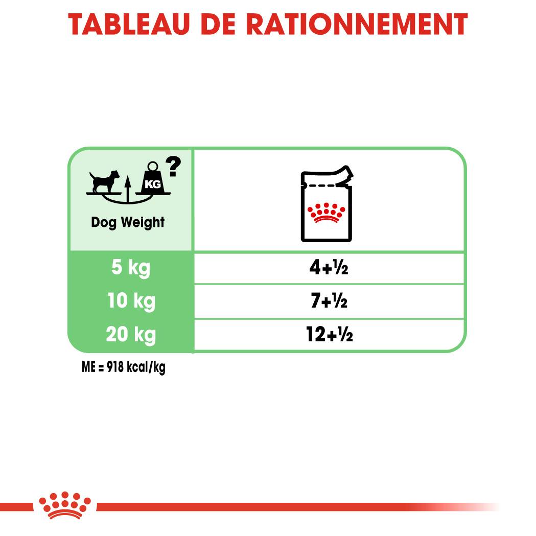 Royal Canin - Royal Canin Coat Care Aliment complet - ROYAL CANIN - Image 7