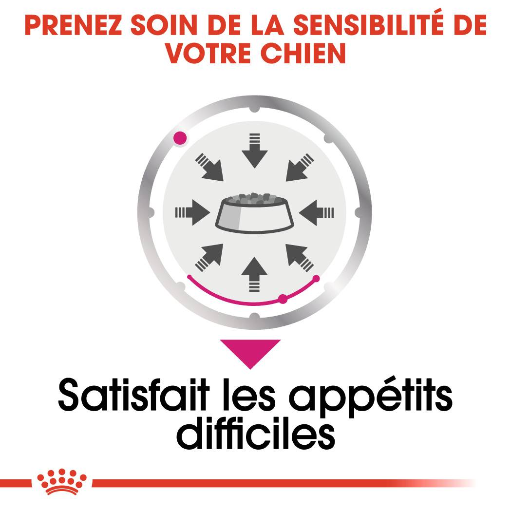 Royal Canin - Nourriture Humide Exigent Mousse – ROYAL CANIN - Image 9