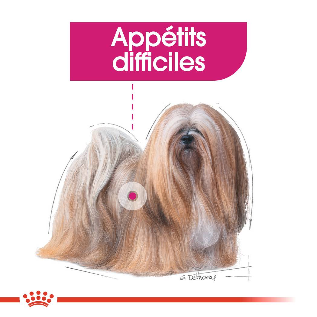 Royal Canin - Nourriture Humide Exigent Mousse – ROYAL CANIN - Image 6