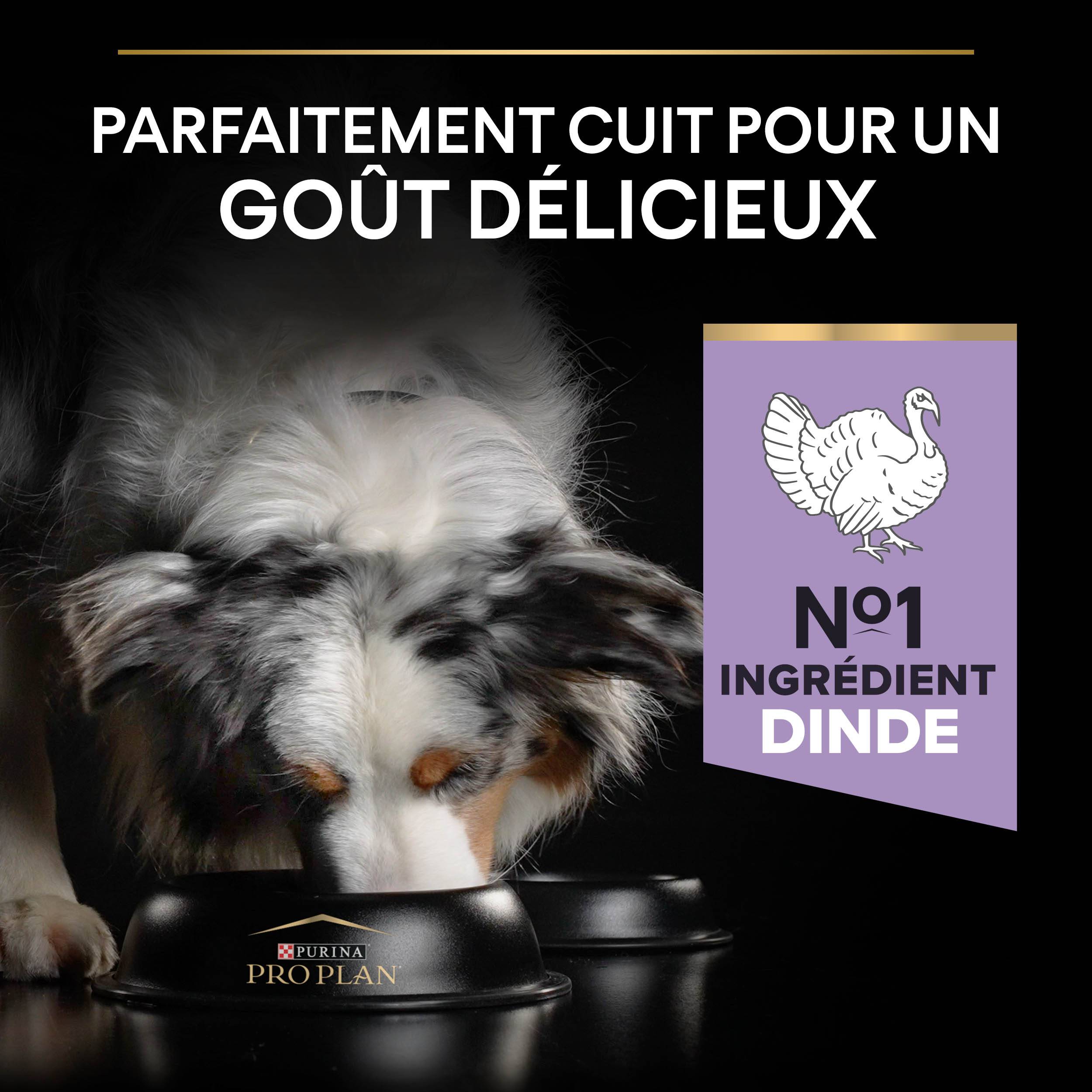 Purina Pro Plan - Croquettes chien Medium Adulte Sensitive Digestion Dinde 2,5 kg - PRO PLAN - Image 4
