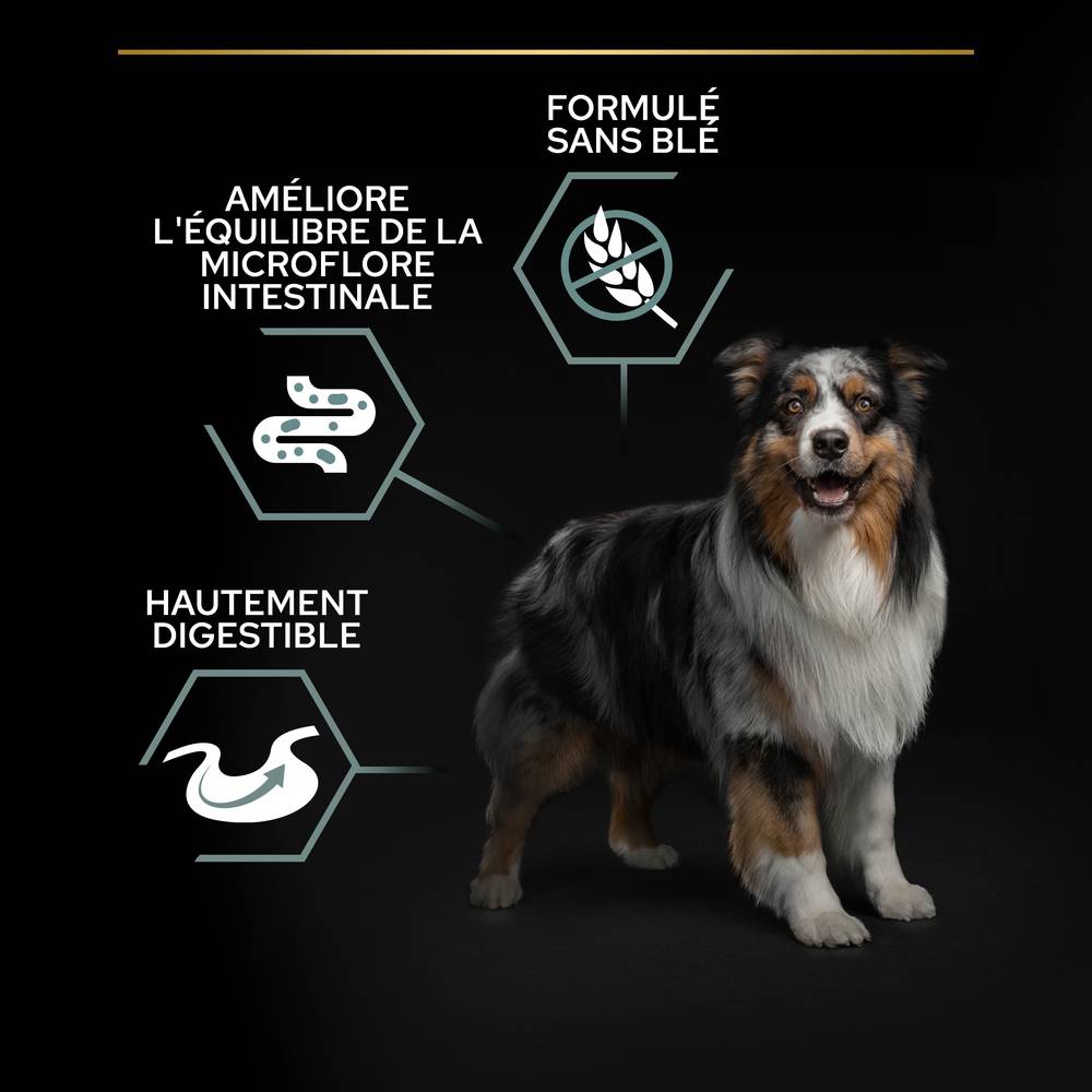 Purina Pro Plan - Croquettes chien Medium Adulte Sensitive Digestion Dinde 2,5 kg - PRO PLAN - Image 16