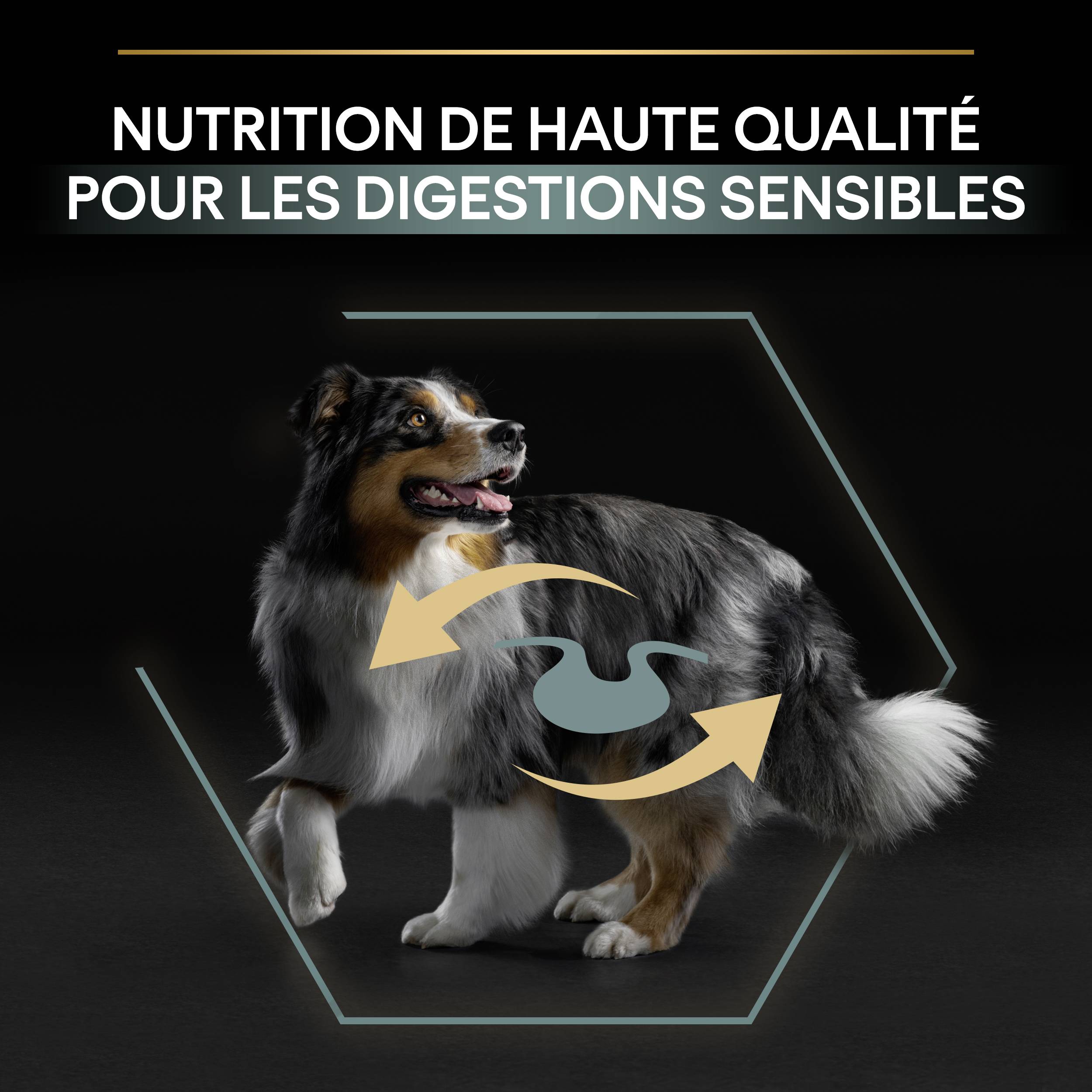 Purina One - Croquettes chien Adulte Medium Large Digestion sans céréales Dinde 12 kg - PRO PLAN - Image 8