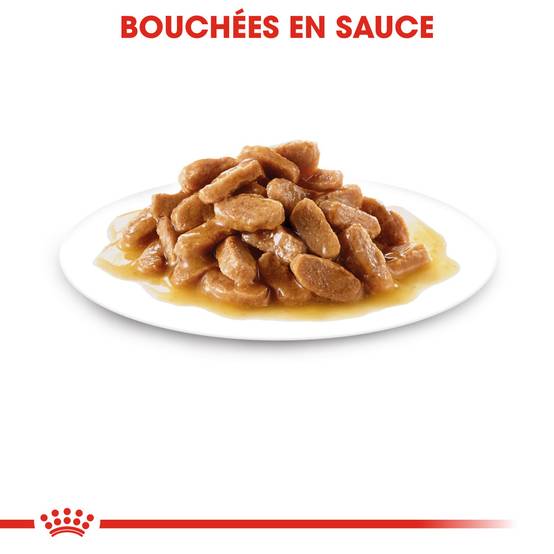 Royal Canin - Aliment chien sachet fraîcheur - ROYAL CANIN - Image 2