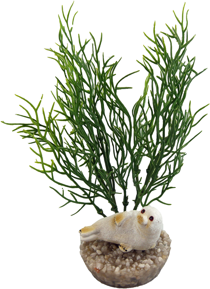 Labéo - Labéo - Décor Phoque - Ø.9 x H.13 cm - Image 3