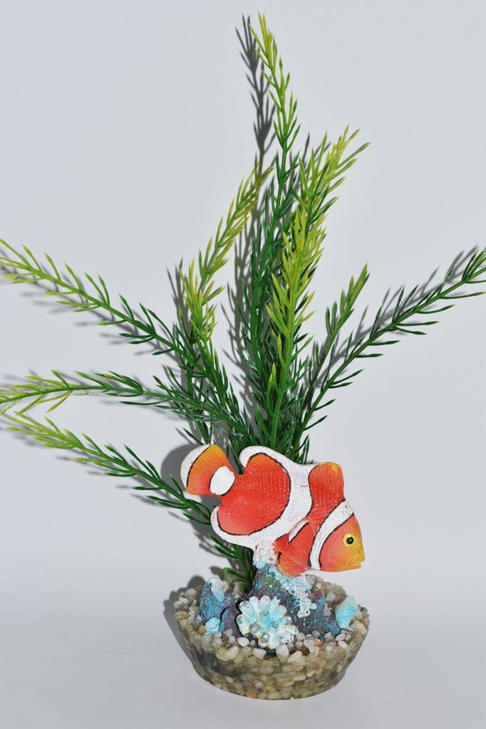 Labéo - Labéo - Décor poisson clown - Ø.10 x H.12 cm - Image 1