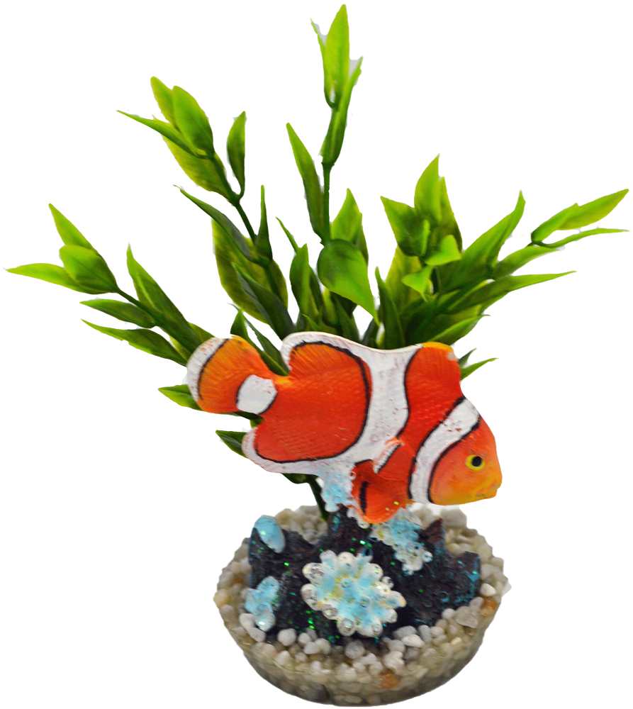 Labéo - Labéo - Décor poisson clown - Ø.10 x H.12 cm - Image 3