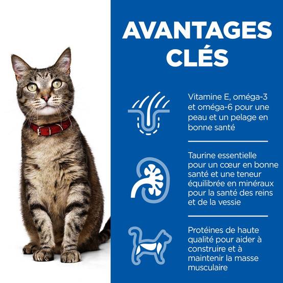 Science plan - Croquettes pour chat adulte poulet - HILL'S SCIENCE PLAN - Image 6